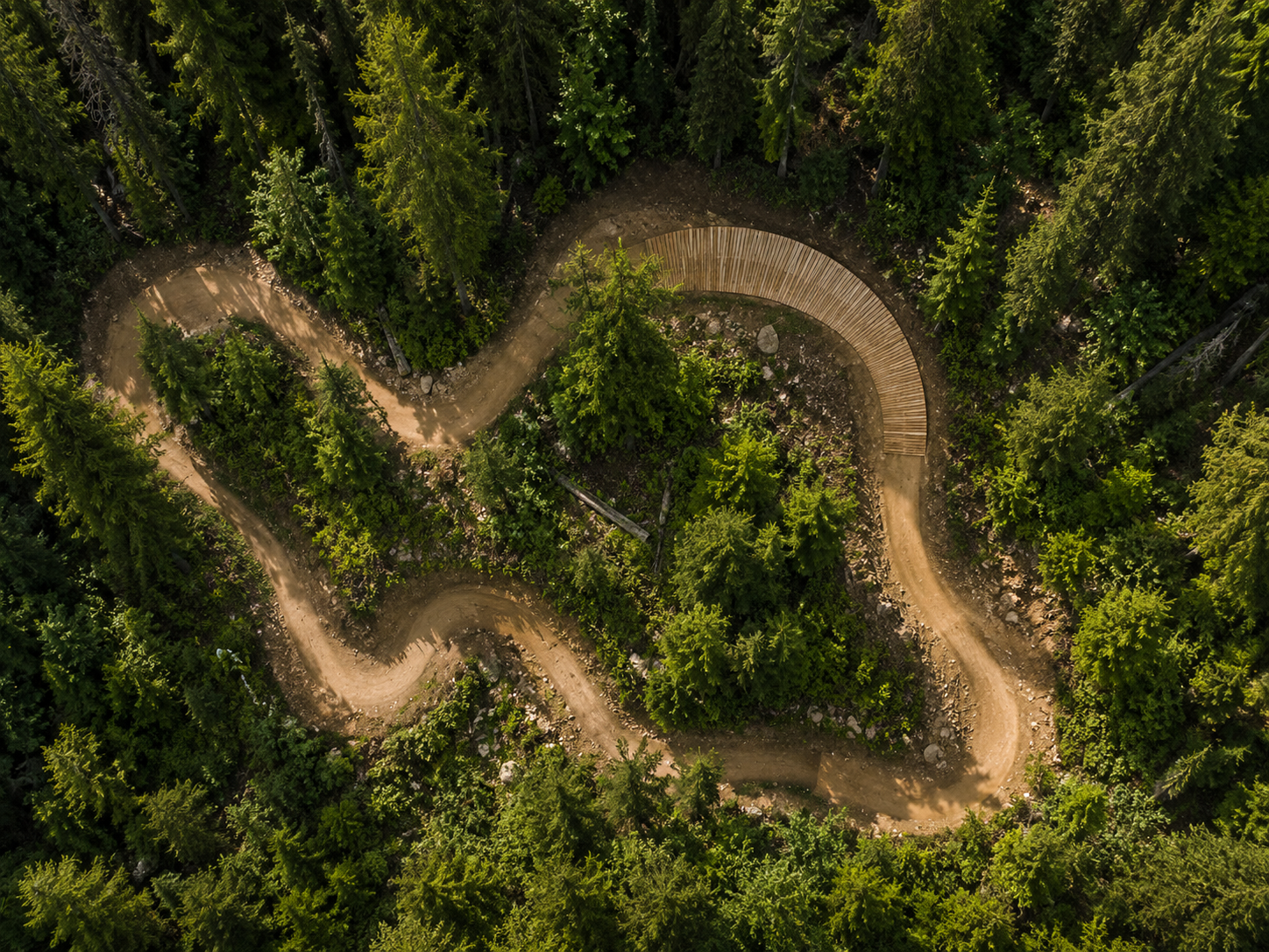 Mountain biker riding singletrack through a forest